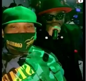 Personal Protection for Pleasure P